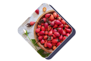 Rose Hips