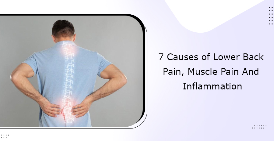 7 Causes of Lower Back Pain, Muscle Pain and Inflammation