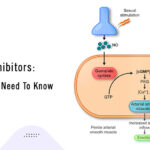 PDE5 Inhibitors: Everything You Need To Know