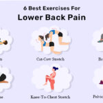 6 Best Exercises for Lower Back Pain