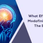 What Effect Does Modafinil Have On The Brain?