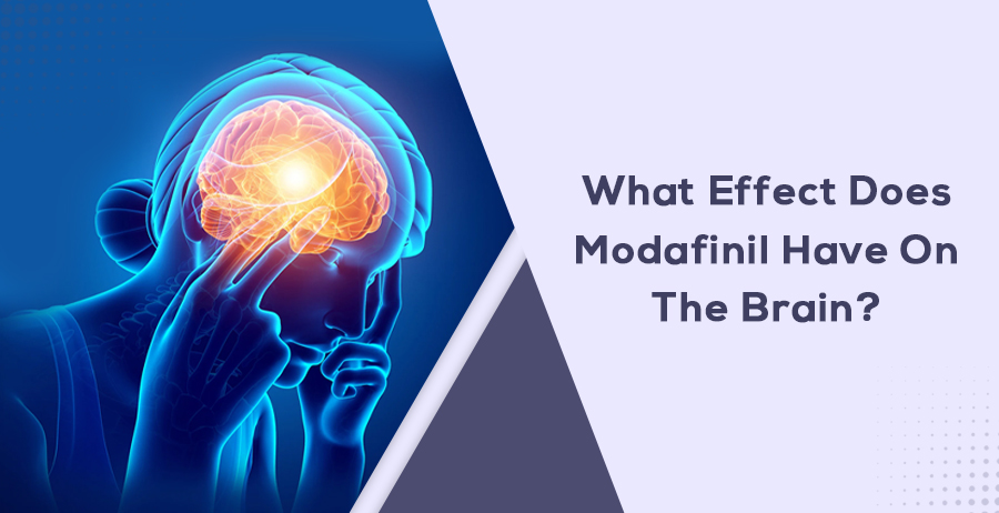 What Effect Does Modafinil Have On The Brain?