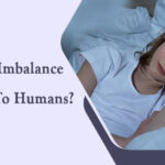 Is sleep imbalance harmful to humans?