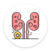 Kidney Stones