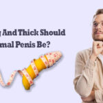 How Long And Thick Should A Normal Penis Be?