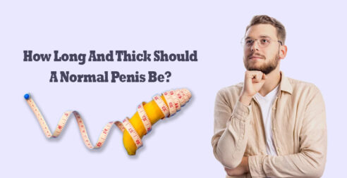 How Long And Thick Should A Normal Penis Be?