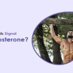 Do Morning Woods Signal Good Testosterone?