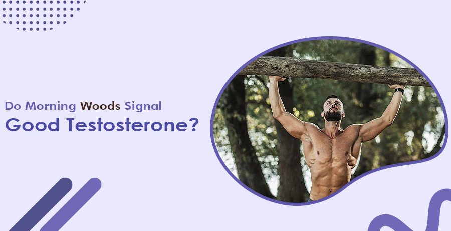 Do Morning Woods Signal Good Testosterone?