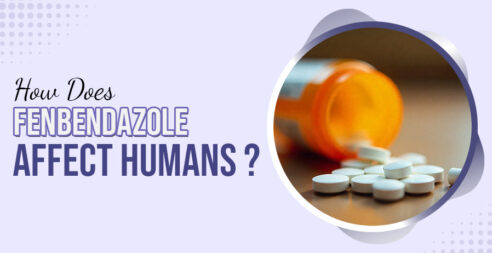What Are The Side Effects Of Fenbendazole In Humans?